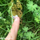 02 WETrackJune2018_03