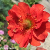 30 Days Wild - Colours of the rainbow