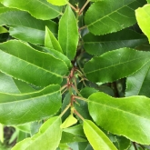 30 Days Wild - Colours of the rainbow