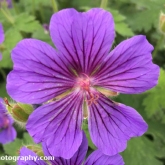 30 Days Wild - Colours of the rainbow