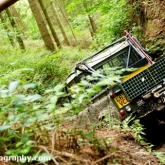 04-birtydastardsclyrojune2011-244 04-birtydastardsclyrojune2011-244