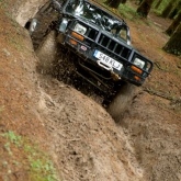 10-birtydastardsclyrojune2011-107 10-birtydastardsclyrojune2011-107