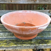 Garden pot found in the glasshouse