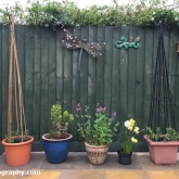 Potted plant display area