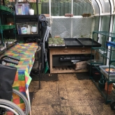 Glasshouse after tidying