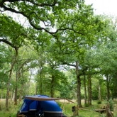 Greenfields Forest Camping