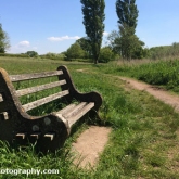 Park bench at Chew Valley Lake