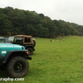 Off-Roading Campsite being invaded by Sheep!