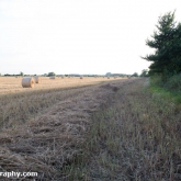 My Patch - Straw bales in the field