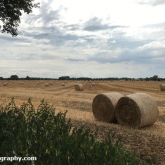 My Patch - Bales of straw