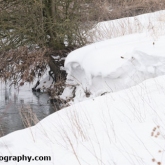 My Patch - Snowdrifts on the river