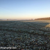 Frosty morning in the field