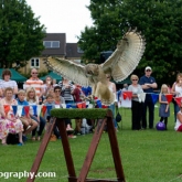 Corsham Armed Forces Day 2014 - Mere Down Falconry Corsham Armed Forces Day 2014 - Mere Down Falconry
