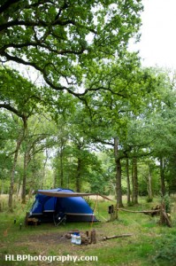 Greenfields Forest Camping