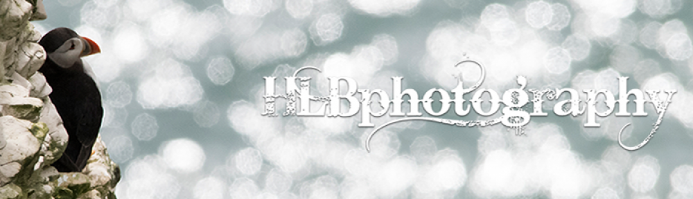 HLB Photography – Blog